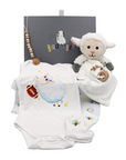 Premium Baby Boy Gift Box