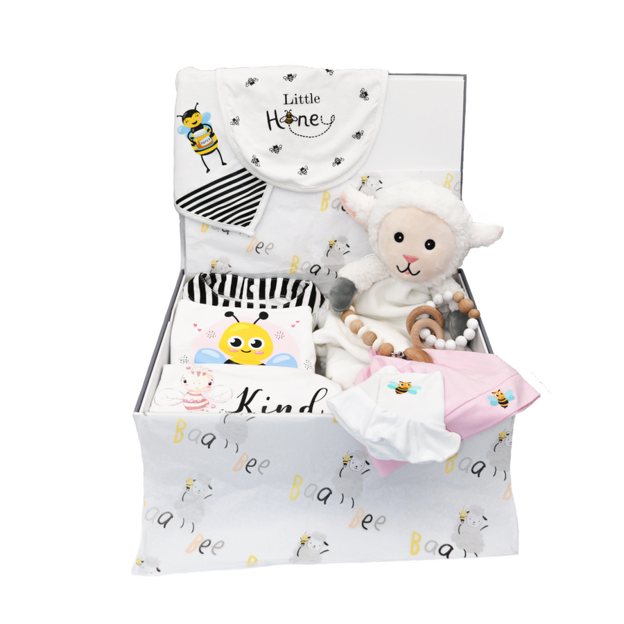Baby Girl Premium Gift Box | Perfect gift for a baby shower - Baa Bee